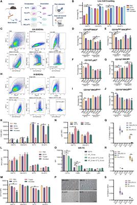 The Culture Dish Surface Influences the Phenotype and Dissociation Strategy in Distinct Mouse Macrophage Populations